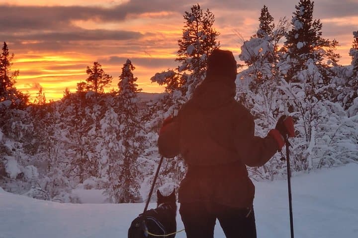 Kiruna Small Group Snowshoe Tour with Fika
