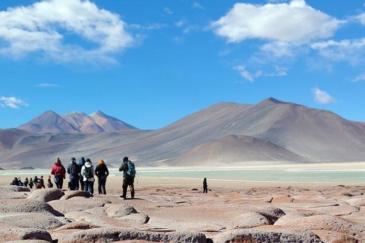 Full Day Tour to Red Stones, High Plains and Chaxa