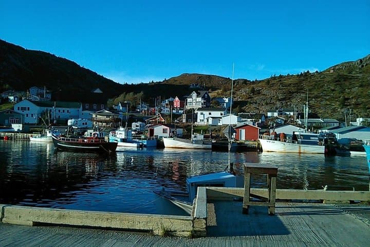 Newfoundland A Coastal Journey Exclusive Tour Max 3 people 6 Hrs