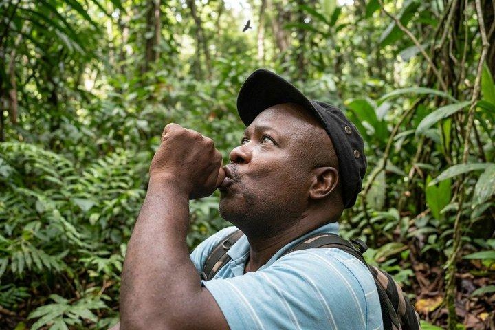 Bird Watching Tour with the Bird Whisperer in Montserrat