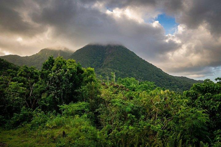 Katy Hill Hike with Guide from Woodlands Montserrat