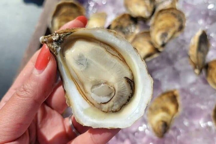 Kayaking and Oyster Tasting Experience in Prince Edward Island
