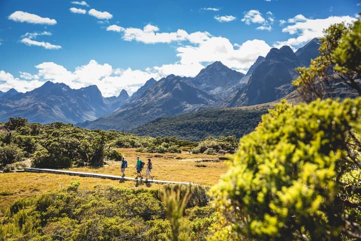 Milford Sound Sea to Summit Experience from Te Anau