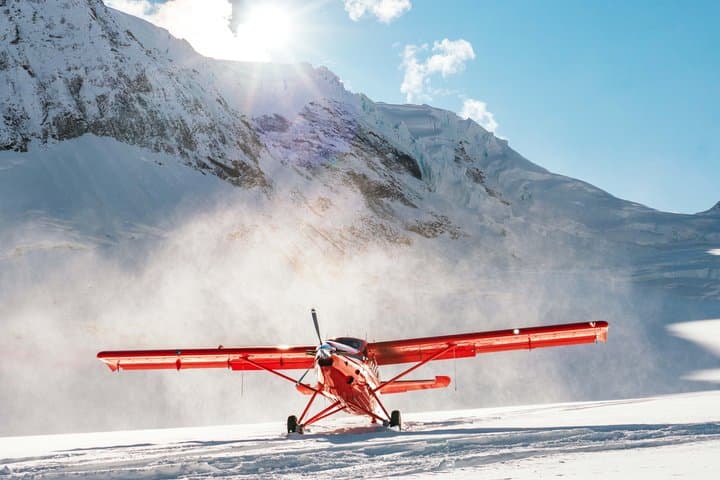 Denali Experience Flightseeing Tour from Talkeetna