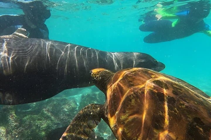 Full Day Tour Pinzon Island + La Fe/Las Palmas - Snorkeling & Fishing
