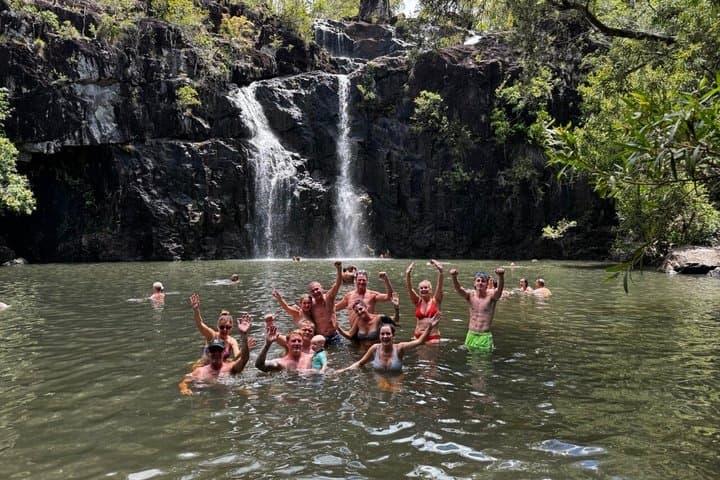 Airlie Beach: 3-hour Cedar Creek Small-Group Eco Half-Day Tour
