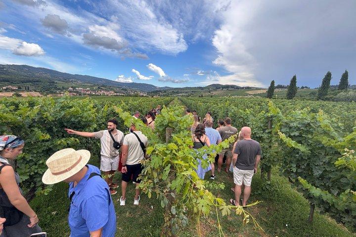 Small-Group Wine Tasting Experience in the Tuscan Countryside
