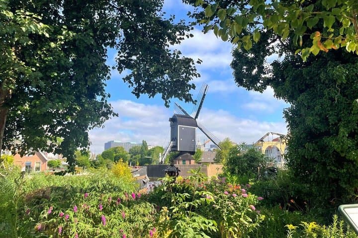Discover Leiden: From Pilgrims to Painters in Historic Key City