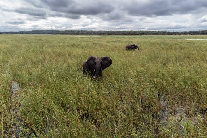 Maputo Special Reserve Full Day Safari via Open Vehicle