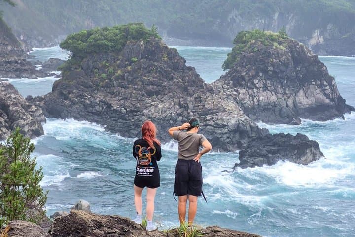 Jeju South Scenic Tour: Hallasan Trail Camellia Hill & Waterfalls
