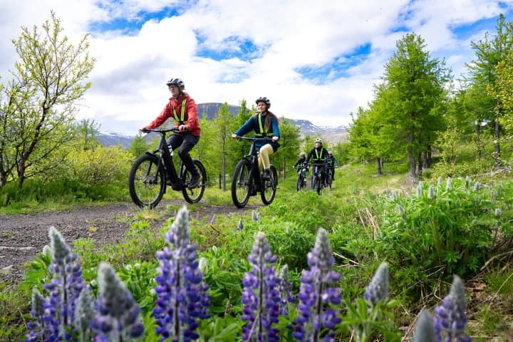 Guided E-Bike Tour in Isafjordur