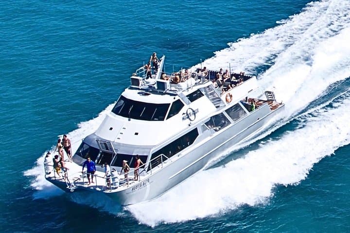 Ocean Freedom: Great Barrier Reef Stylish Snorkel, Dive Reef Tour