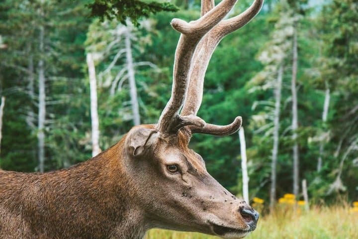 Two Rivers Wildlife Park Tour