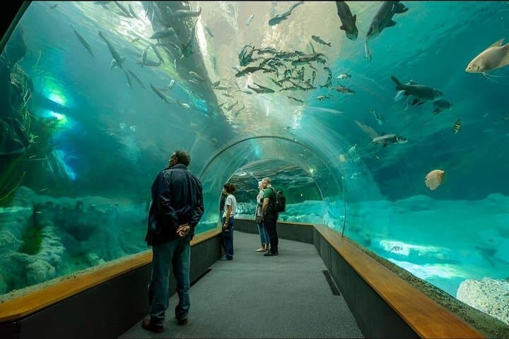 Gran Canaria Tour to the Poem of the Sea and Las Palmas Pier