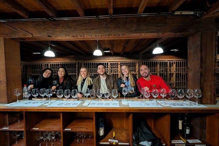 Viña Santa Rita Premium Tour and 5 Wine Tasting Small Group