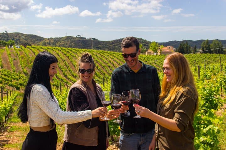 Albufeira Wine Tasting: Boutique Winery Tour & Historic Silves