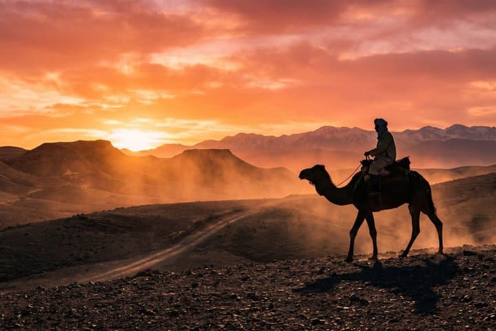 Marrakech Agafay Desert Dinner Quadbiking Sunset Camel Ride