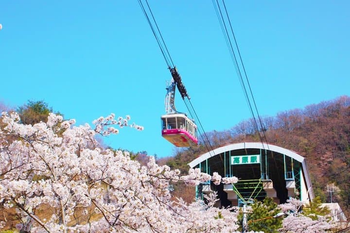 Fukuoka: Yufuin, Beppu Ropeway, Dazaifu & Kamado Jigoku Day Tour