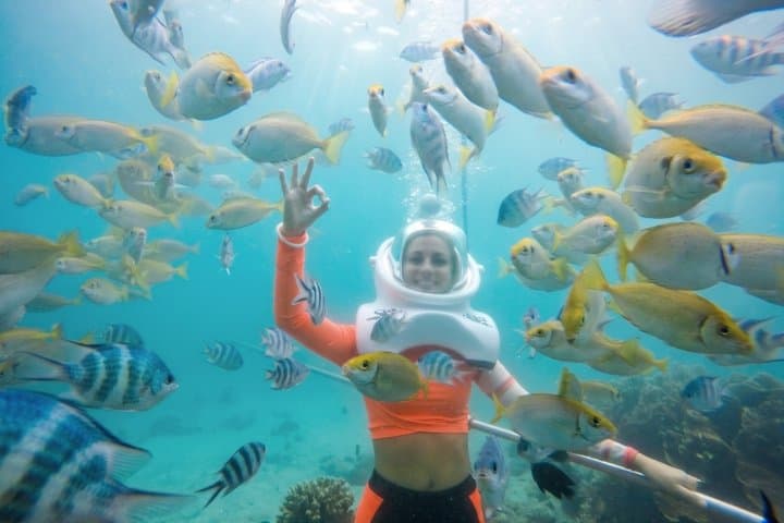 Full-day Cham Islands Cruise from Hoi An with Underwater Walking Excursion