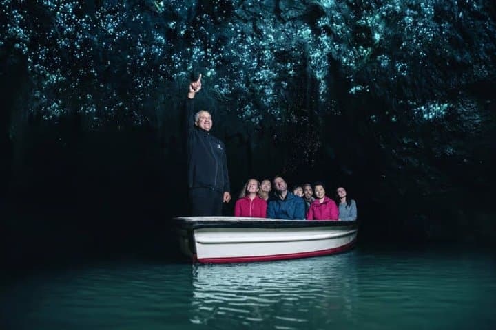 From Hamilton : Waitomo Caves and Te Puia Tour with Picnic Lunch