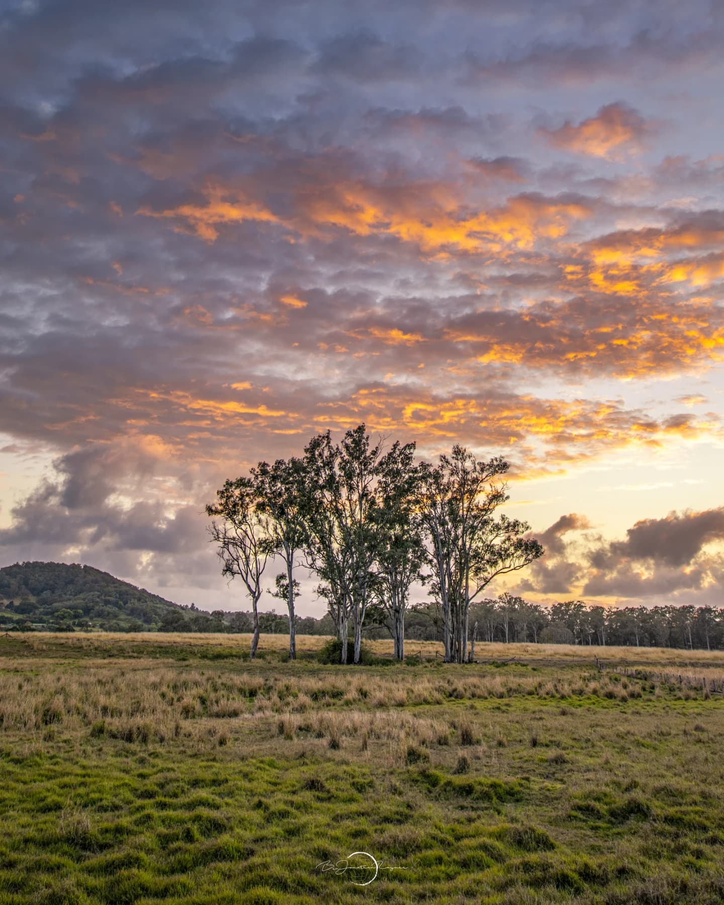 Stapylton