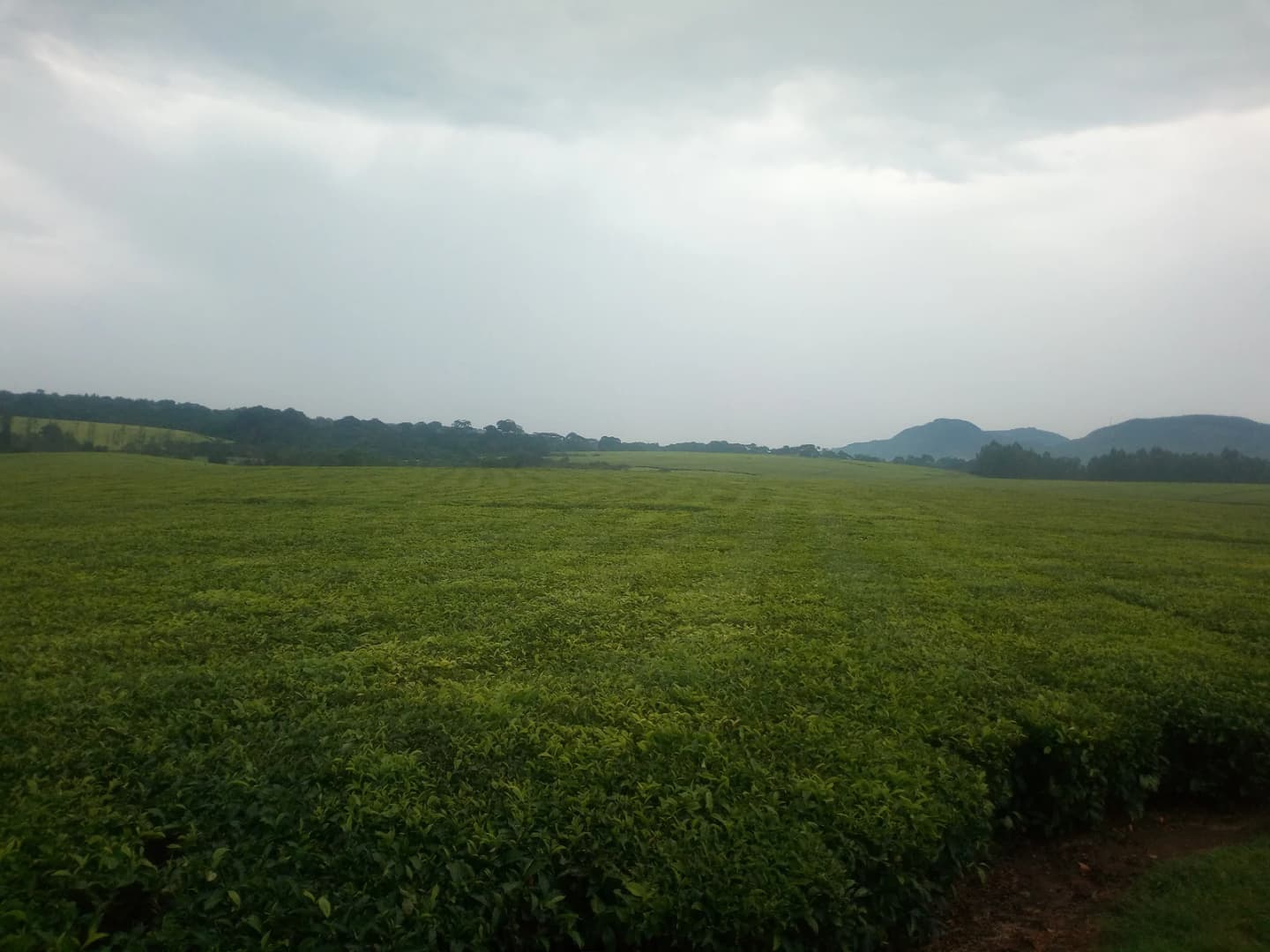 Kyamahungu