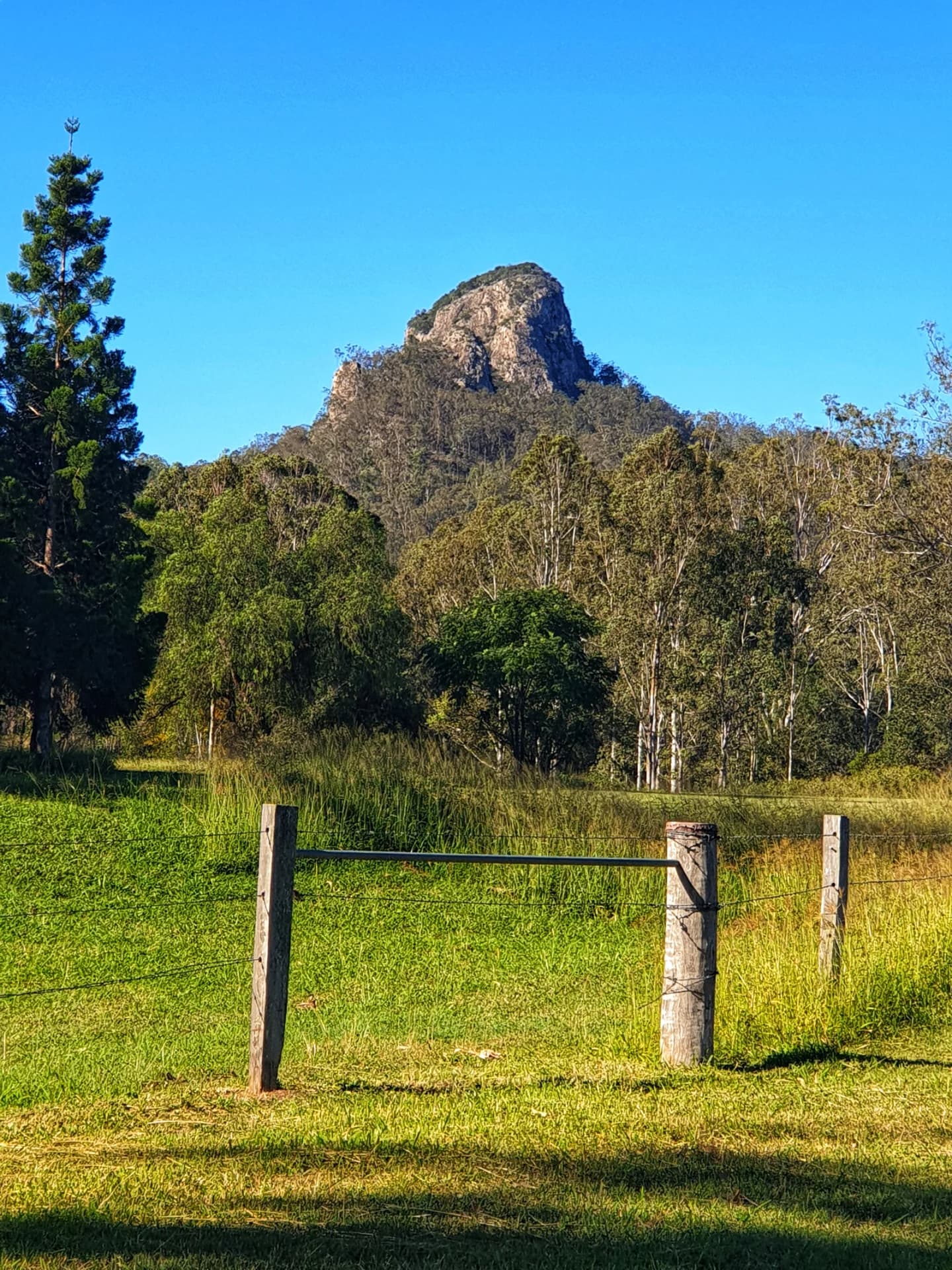Mount Alford