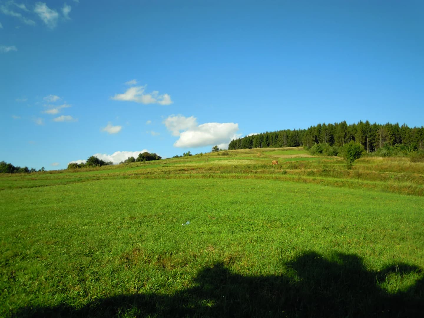 Nyzhni Vorota