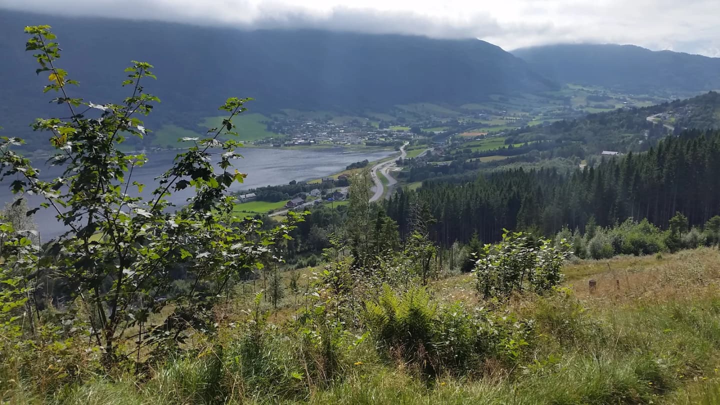 Batnfjordsøra