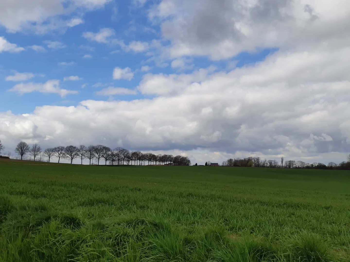 Jodoigne-Souveraine