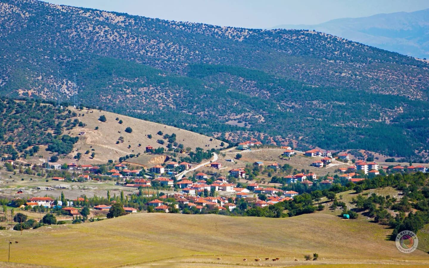 Yavaşlar