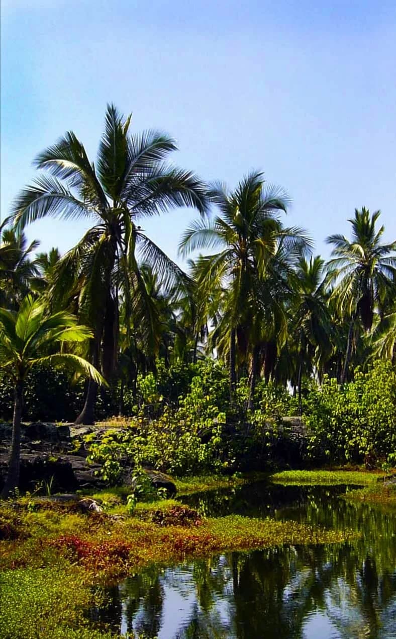 Parbatipur