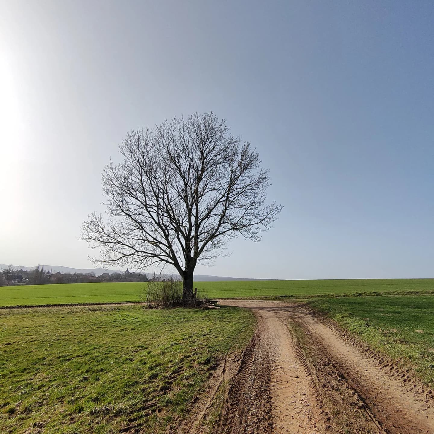 Lutter am Barenberge