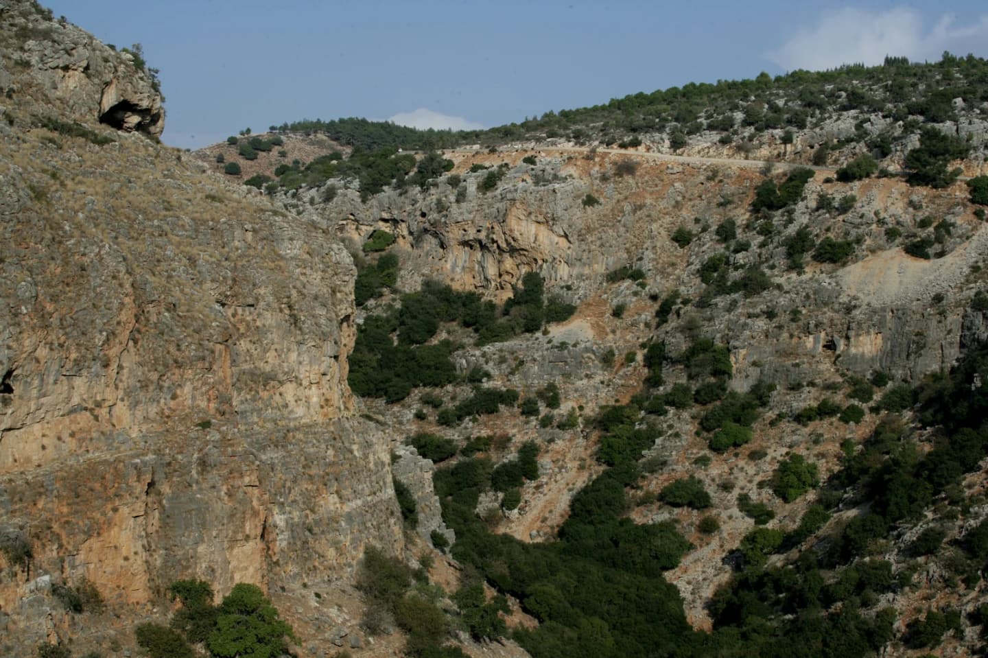 Adamit