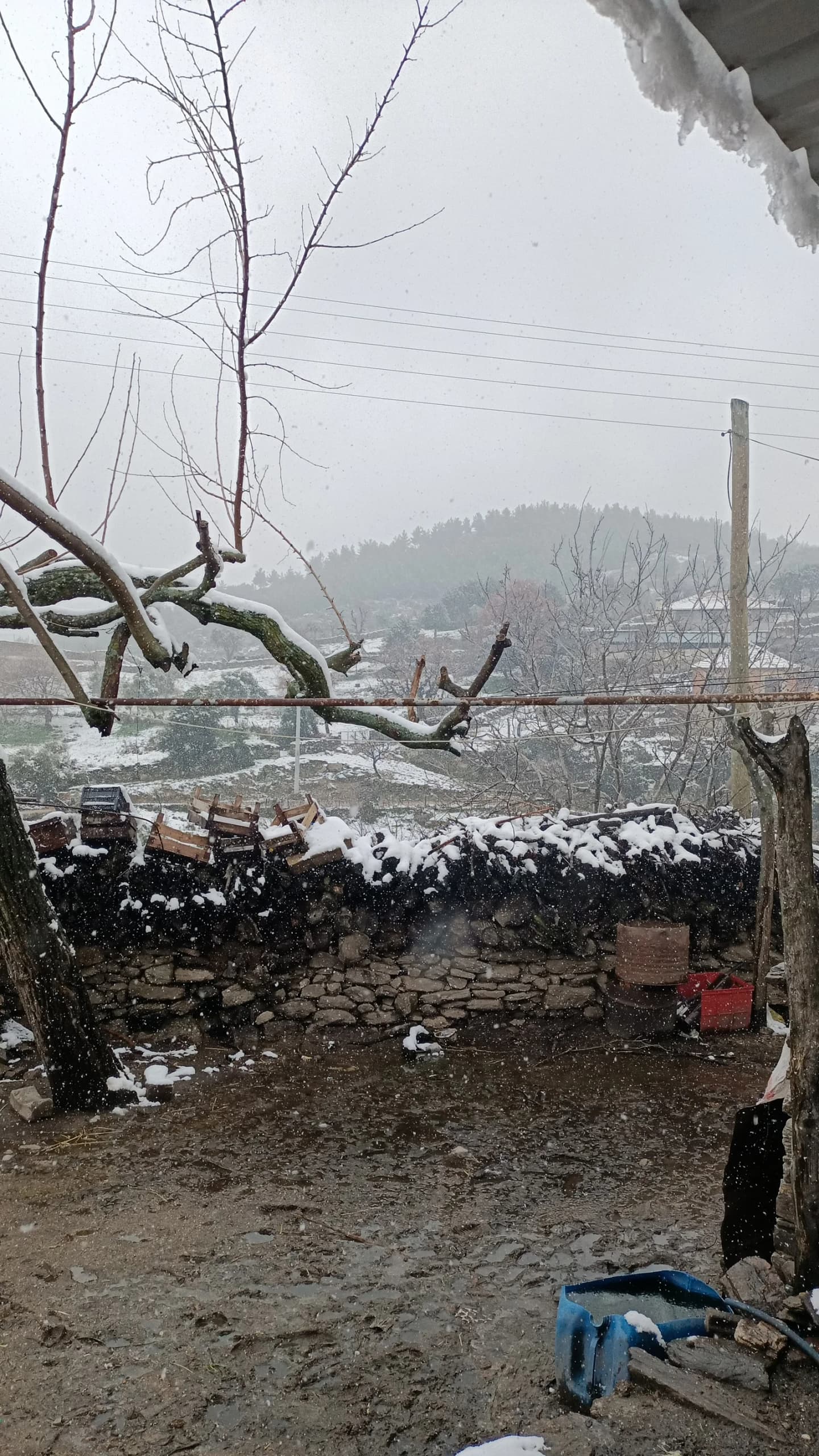 Ektirli