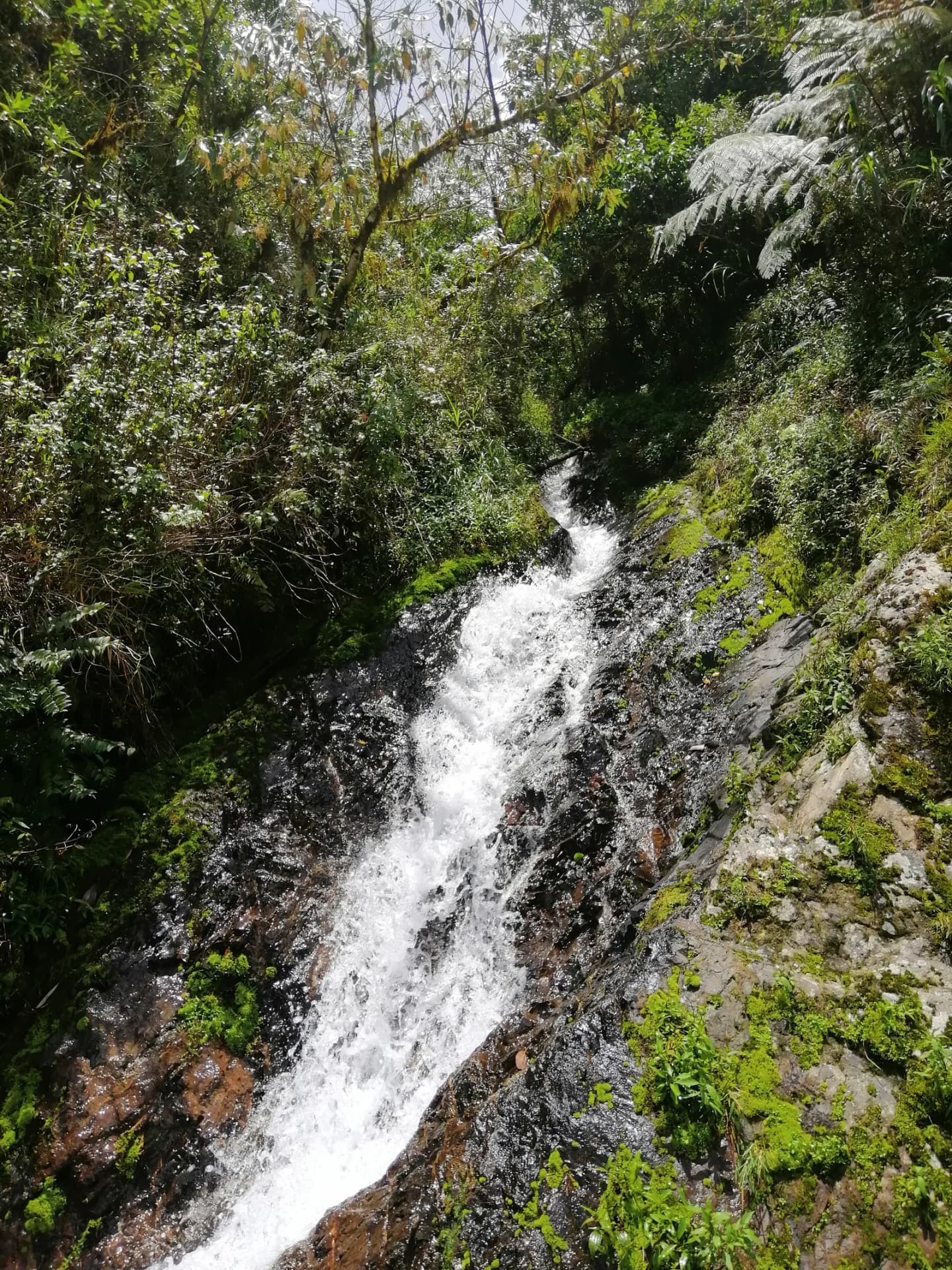 Mountain Province