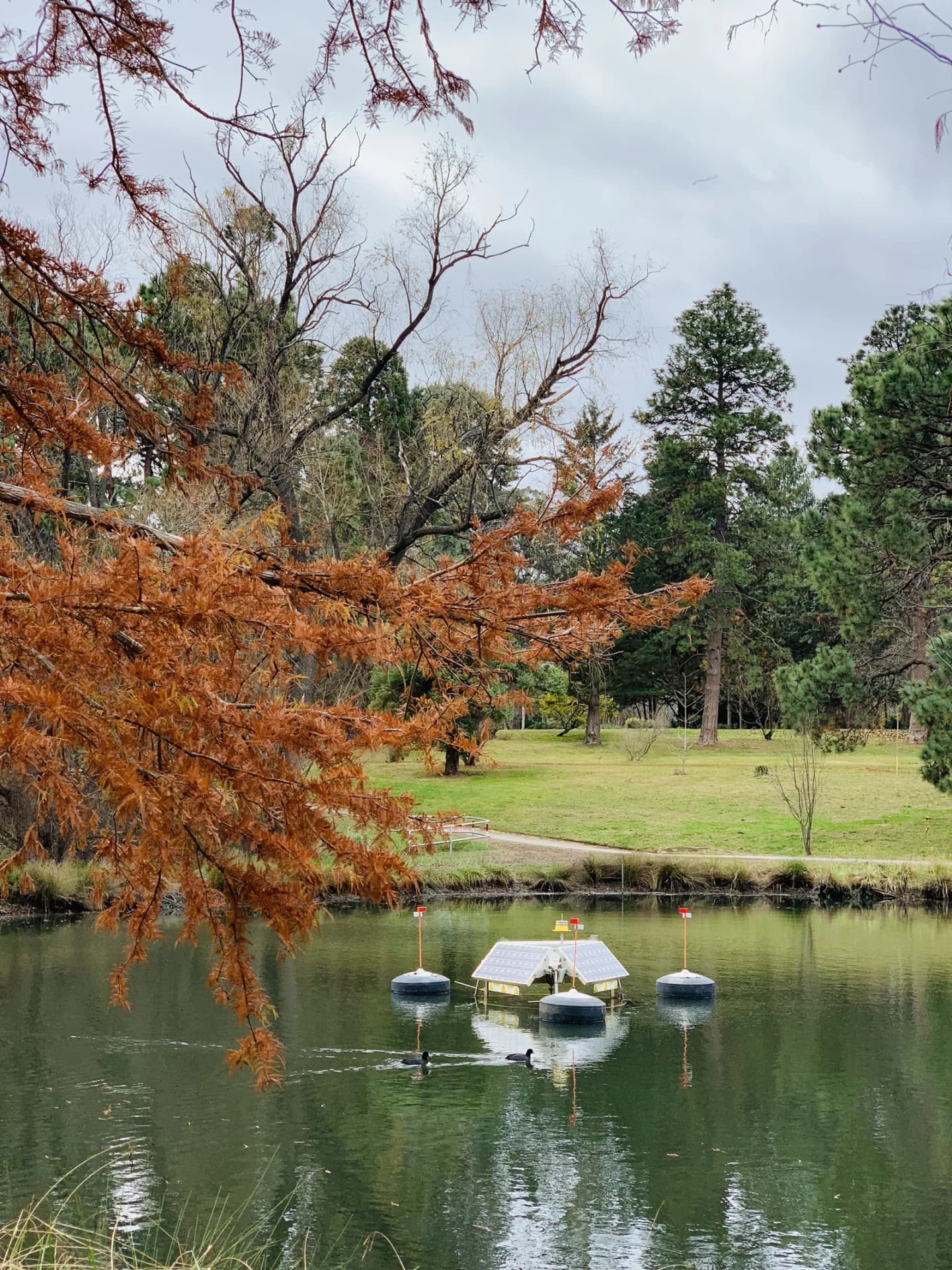 Yarralumla