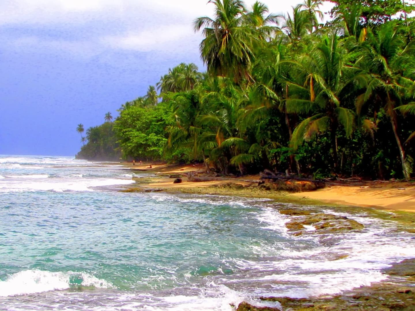 Puerto Viejo de Talamanca