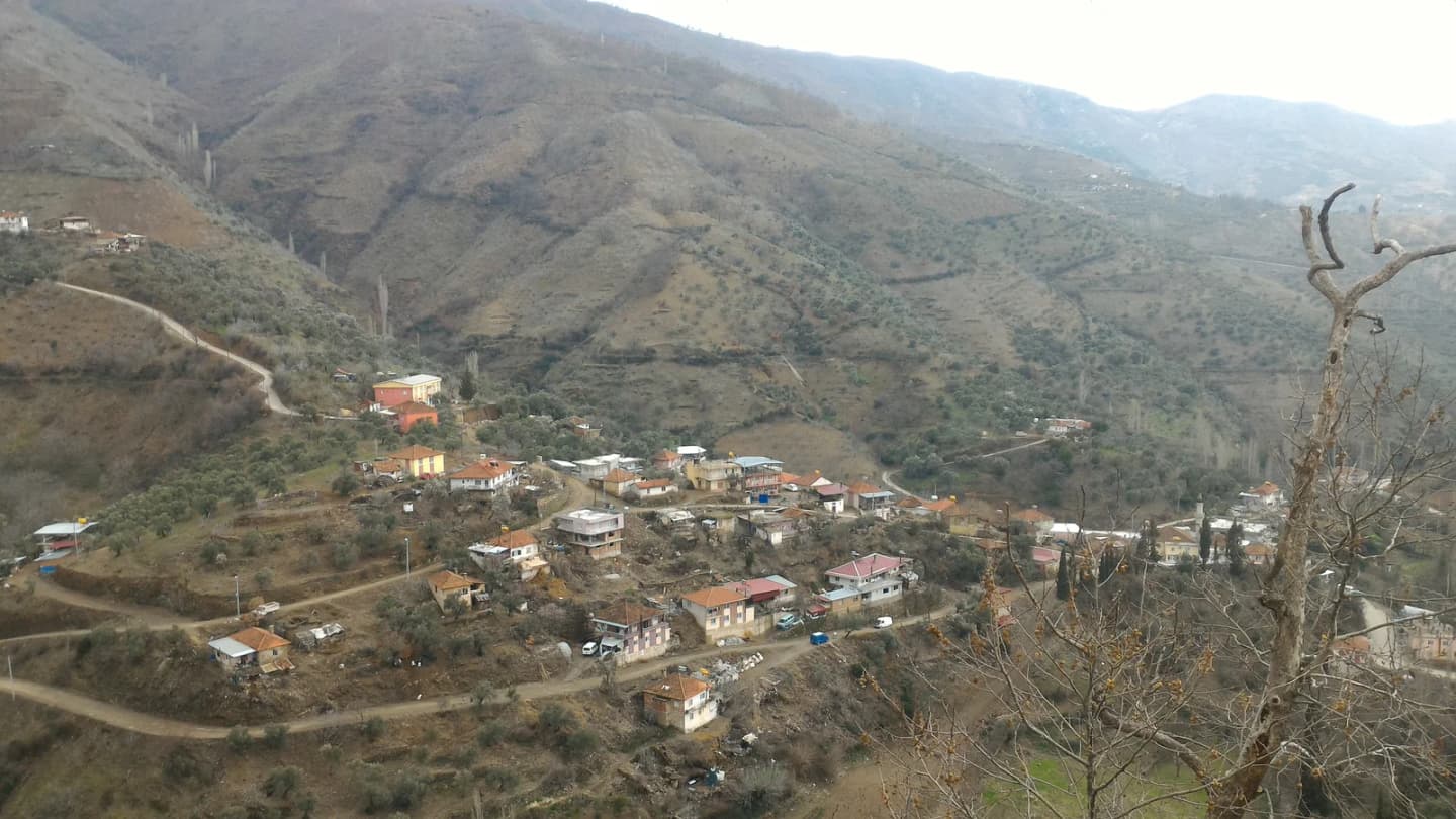 Cumayanı