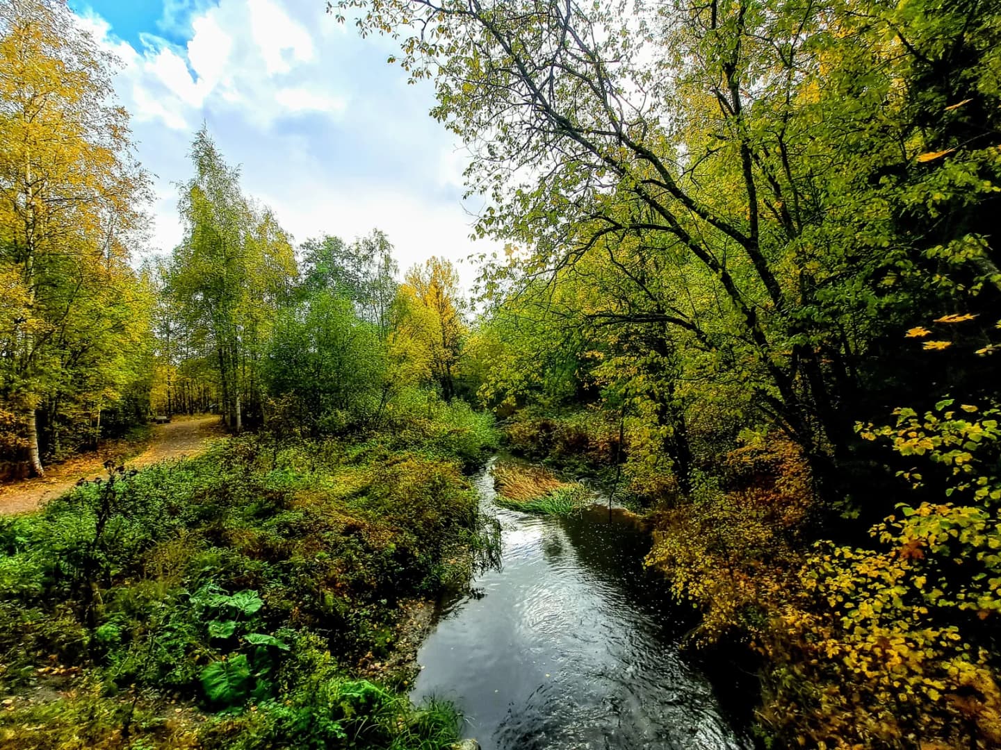 Korso