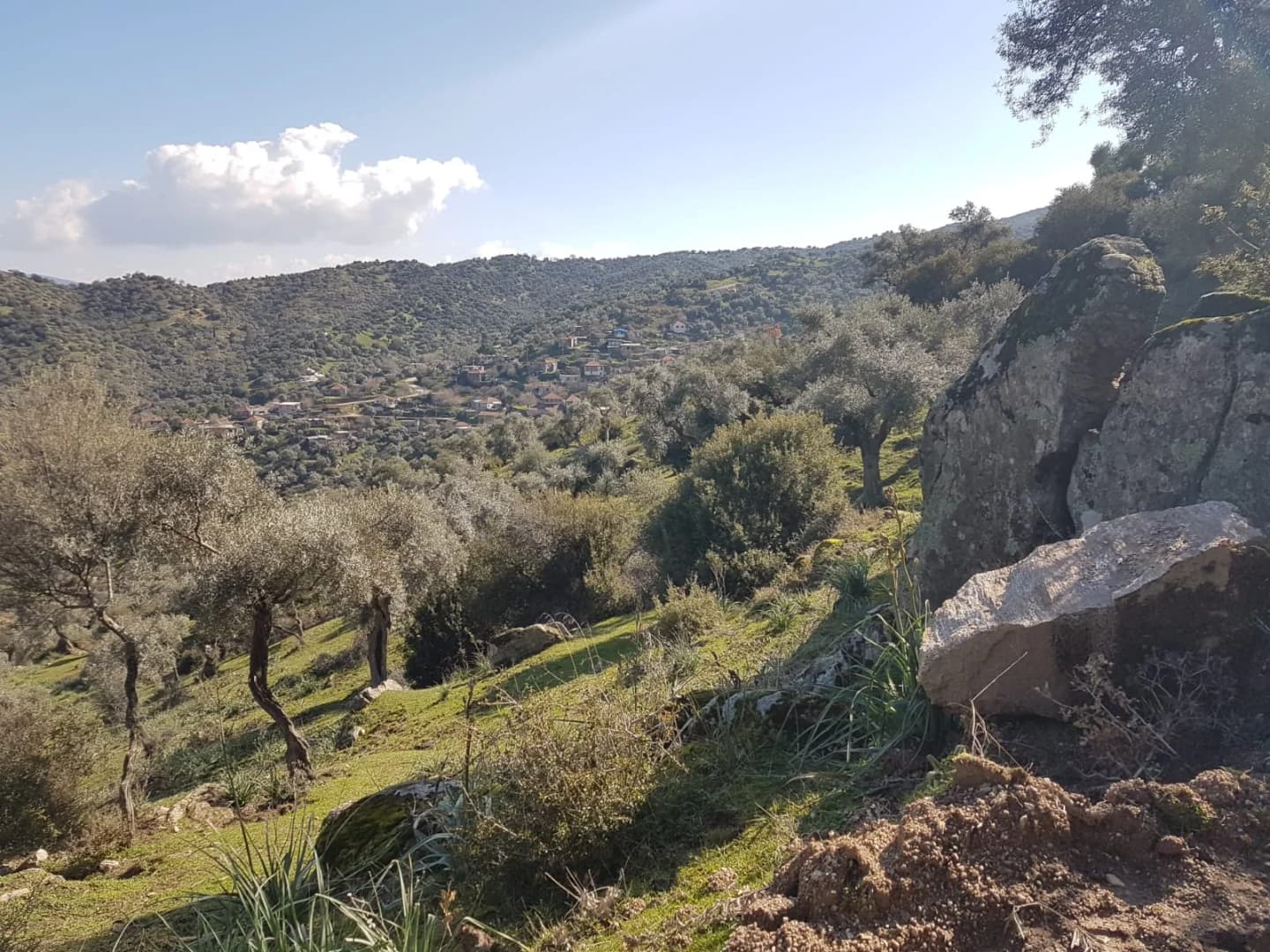 Hacıhamzalar