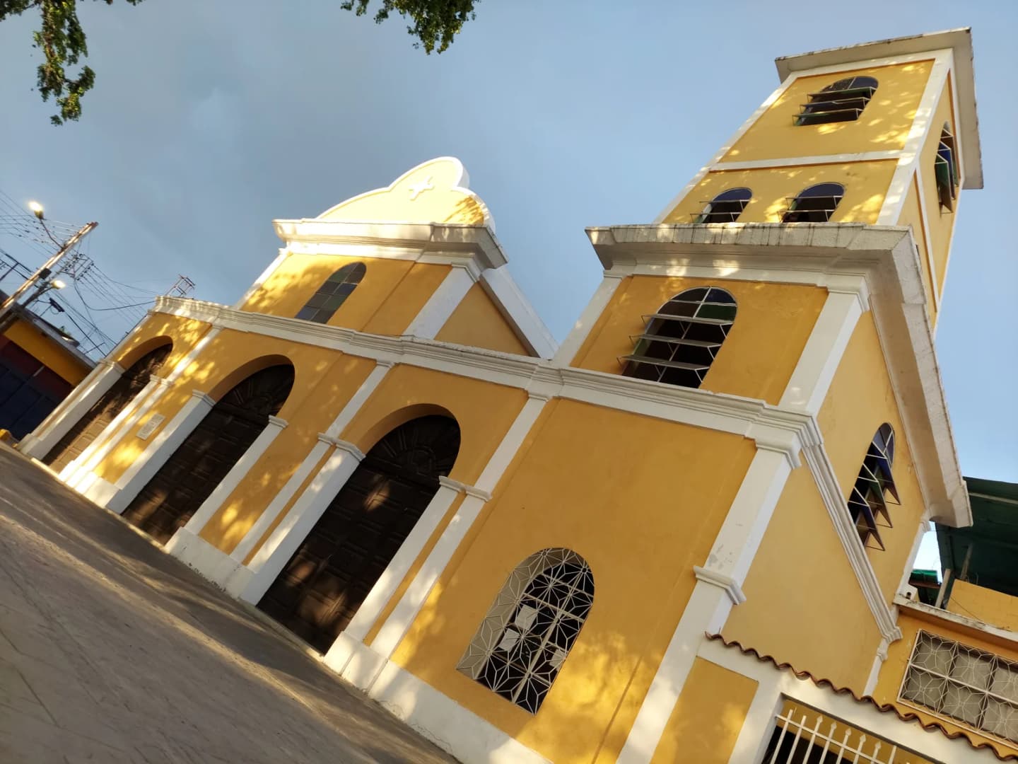 Palo Negro