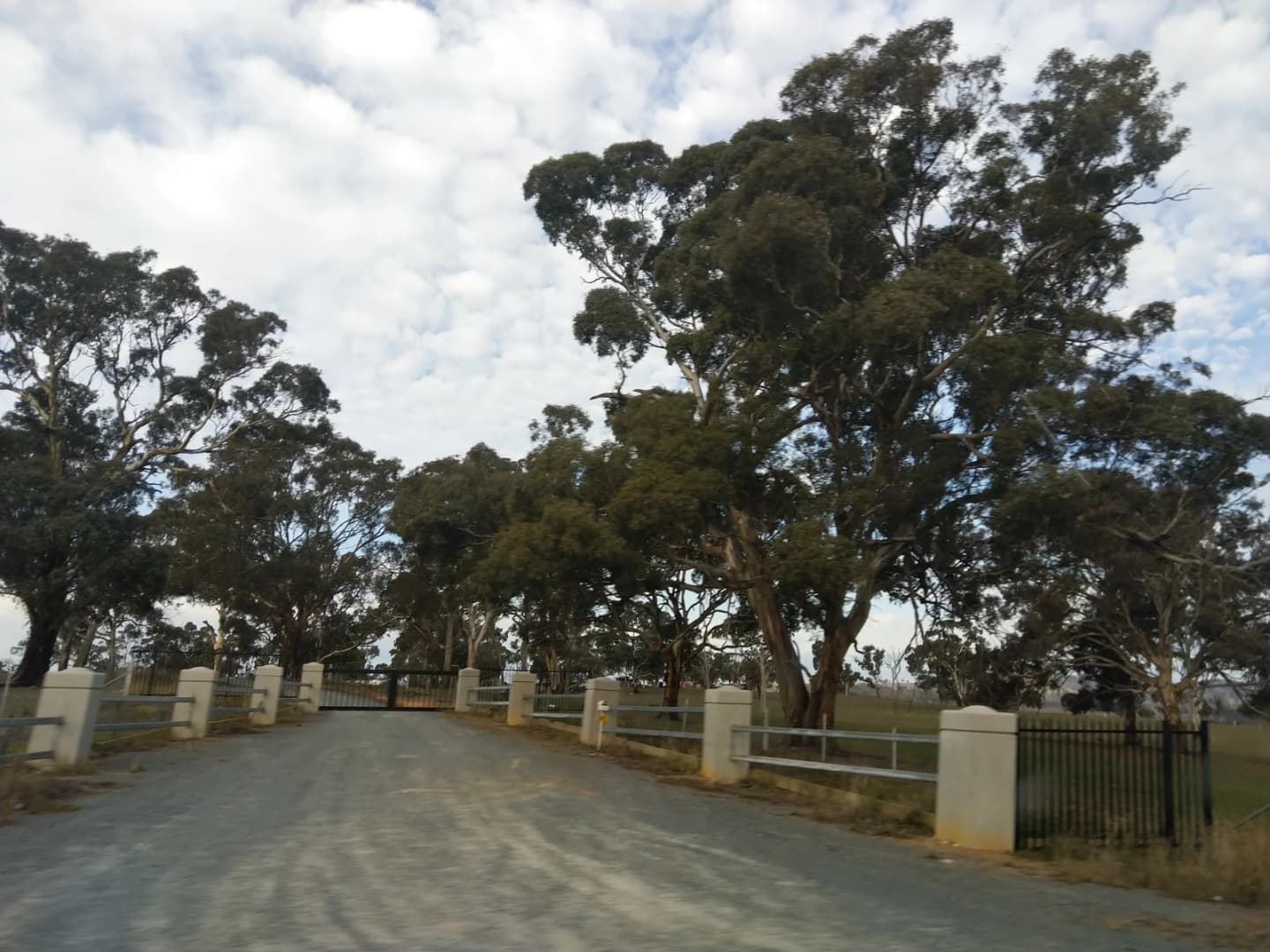 Sutton