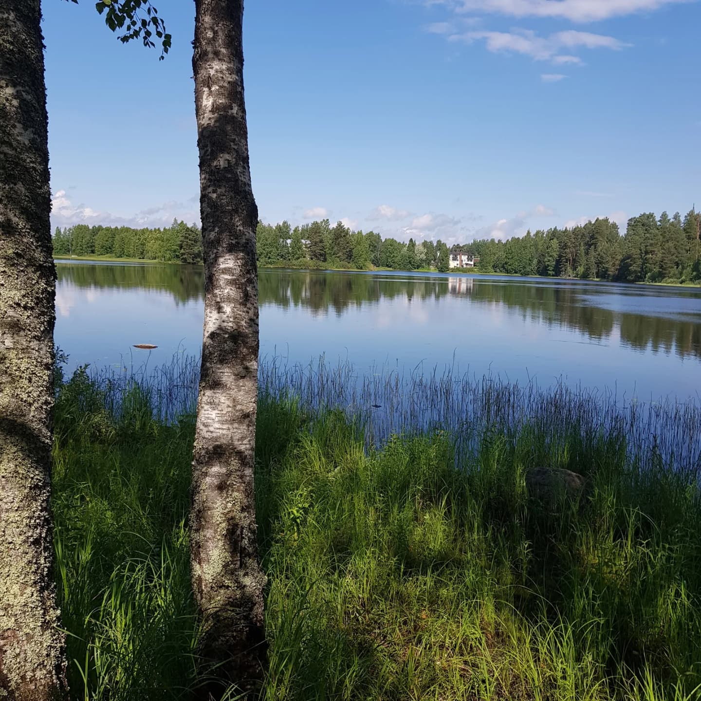 Petäjävesi