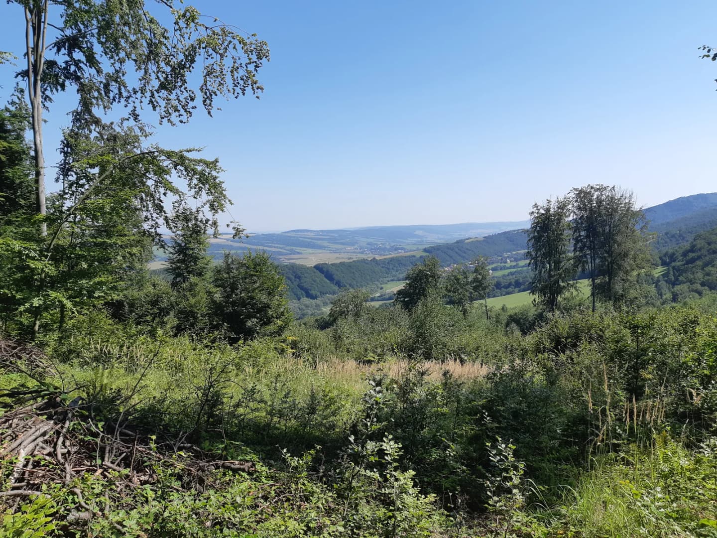 Kružlov