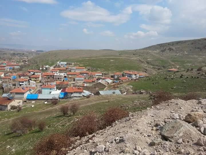 Ortapınar
