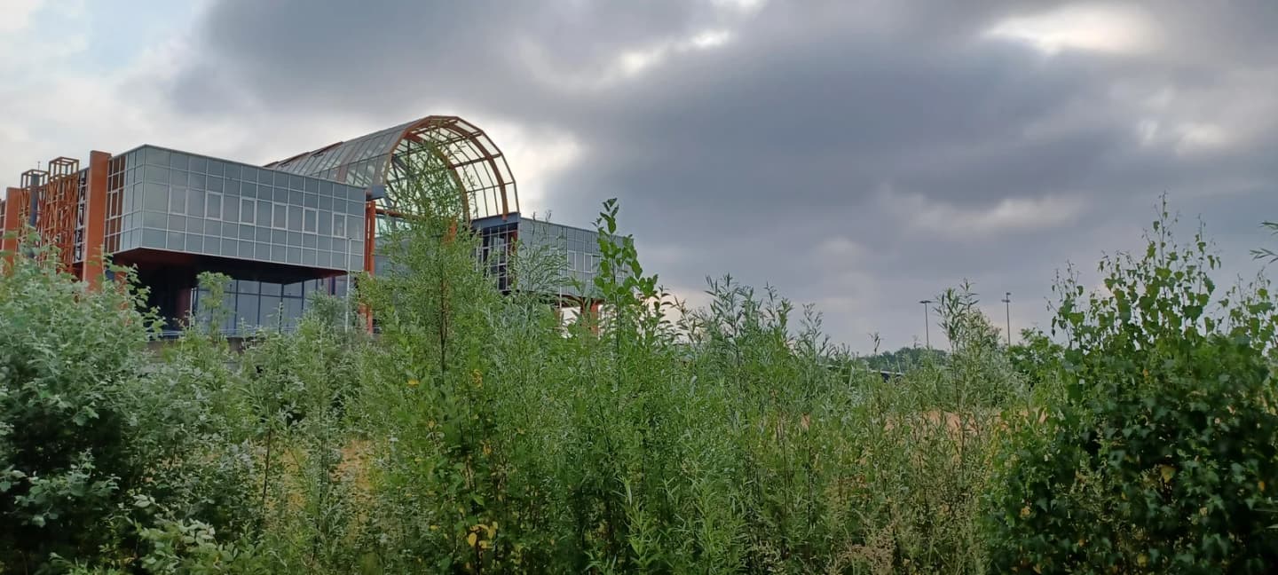 Sint-Denijs-Westrem