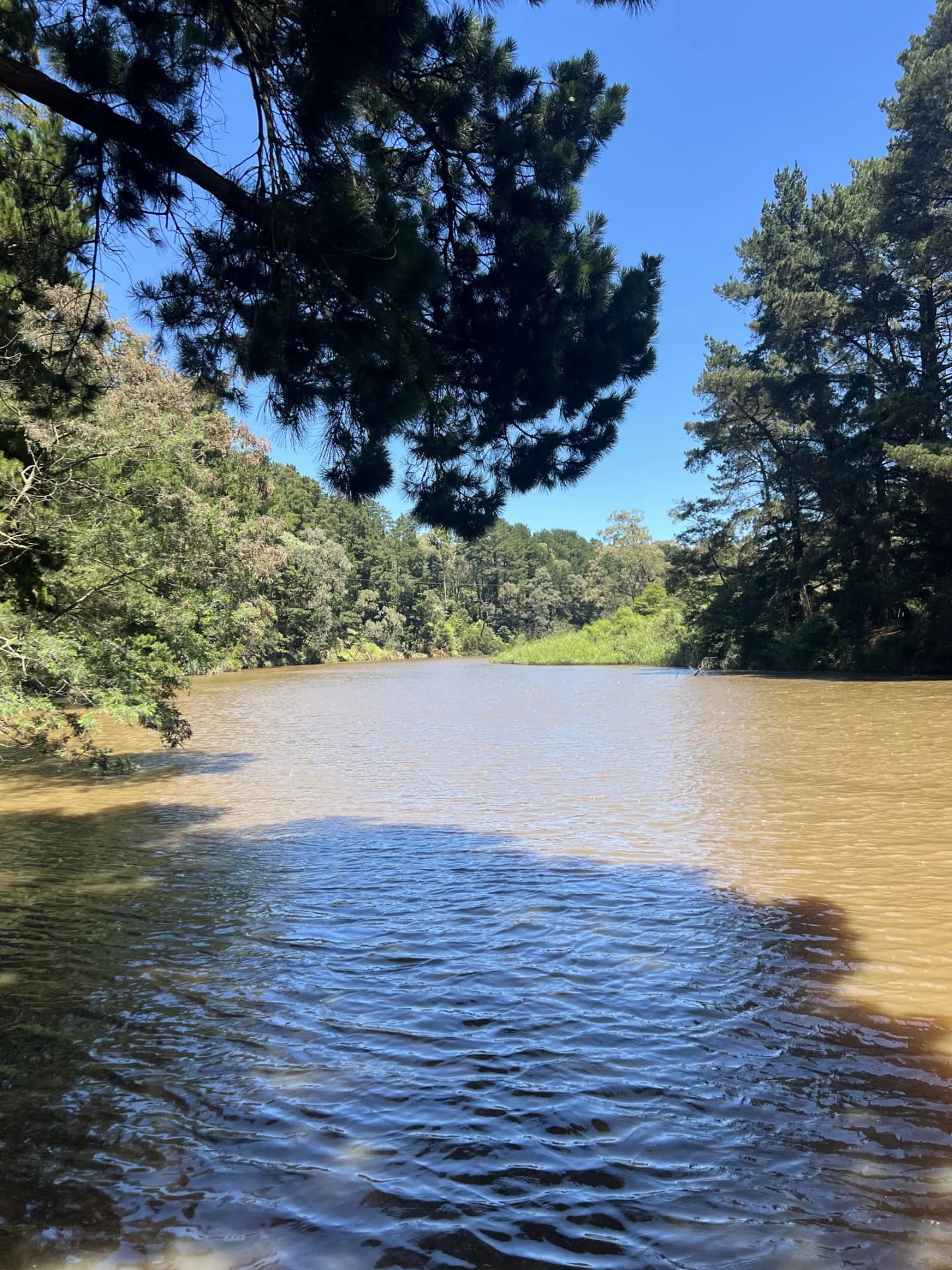 Yallourn