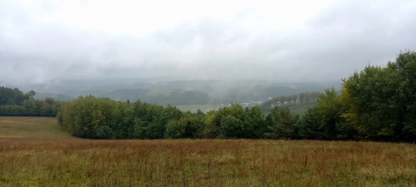 Komárov
