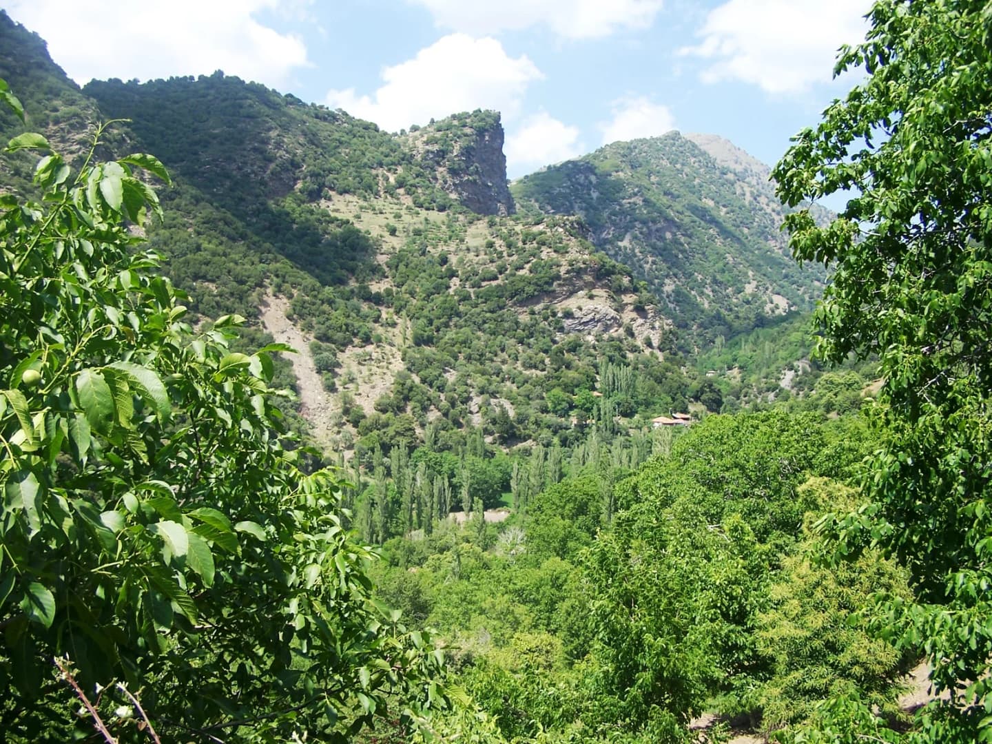 Karagözler